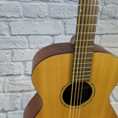 Breedlove AC200/SM Acoustic Guitar - New Old Stock