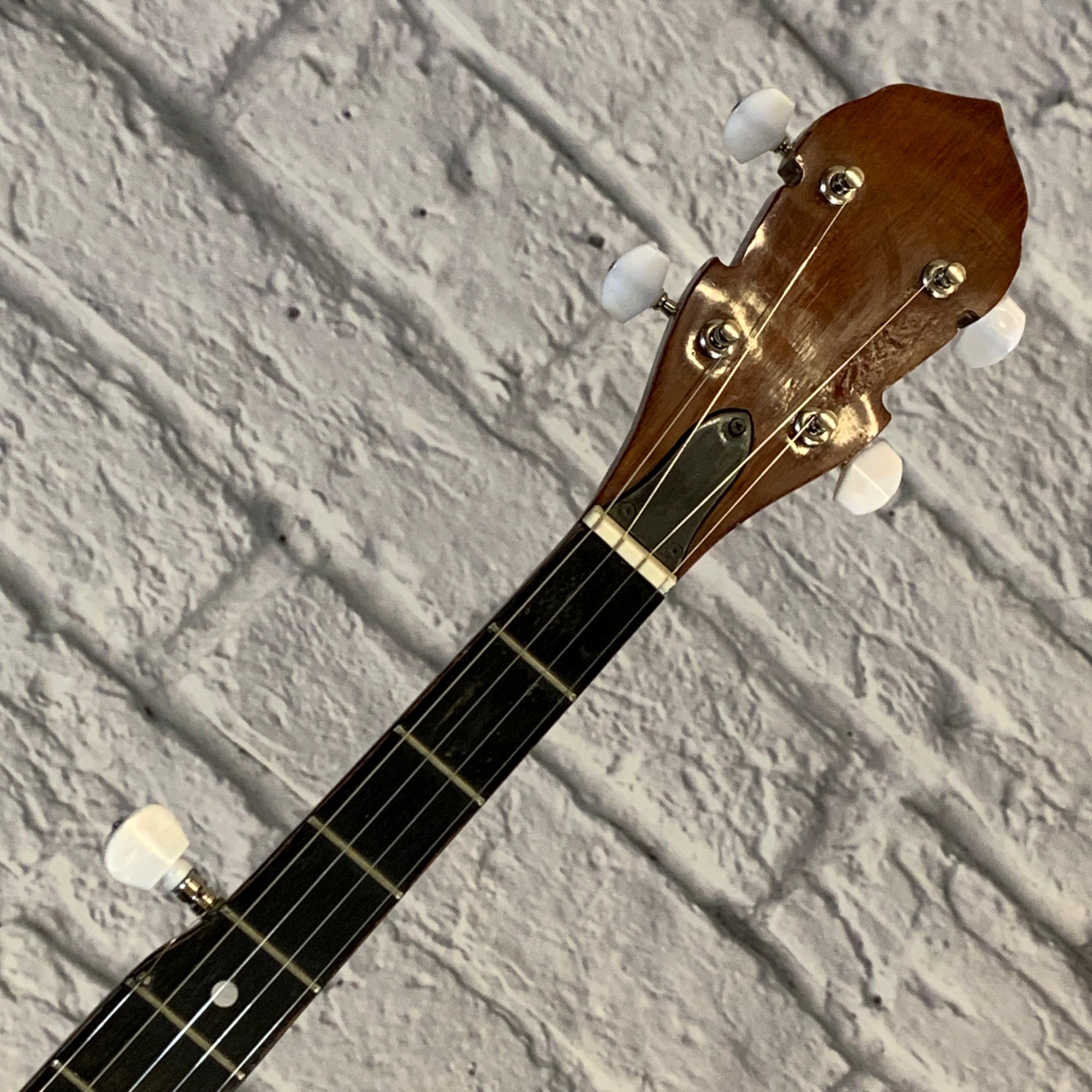 Unknown 5-String Banjo