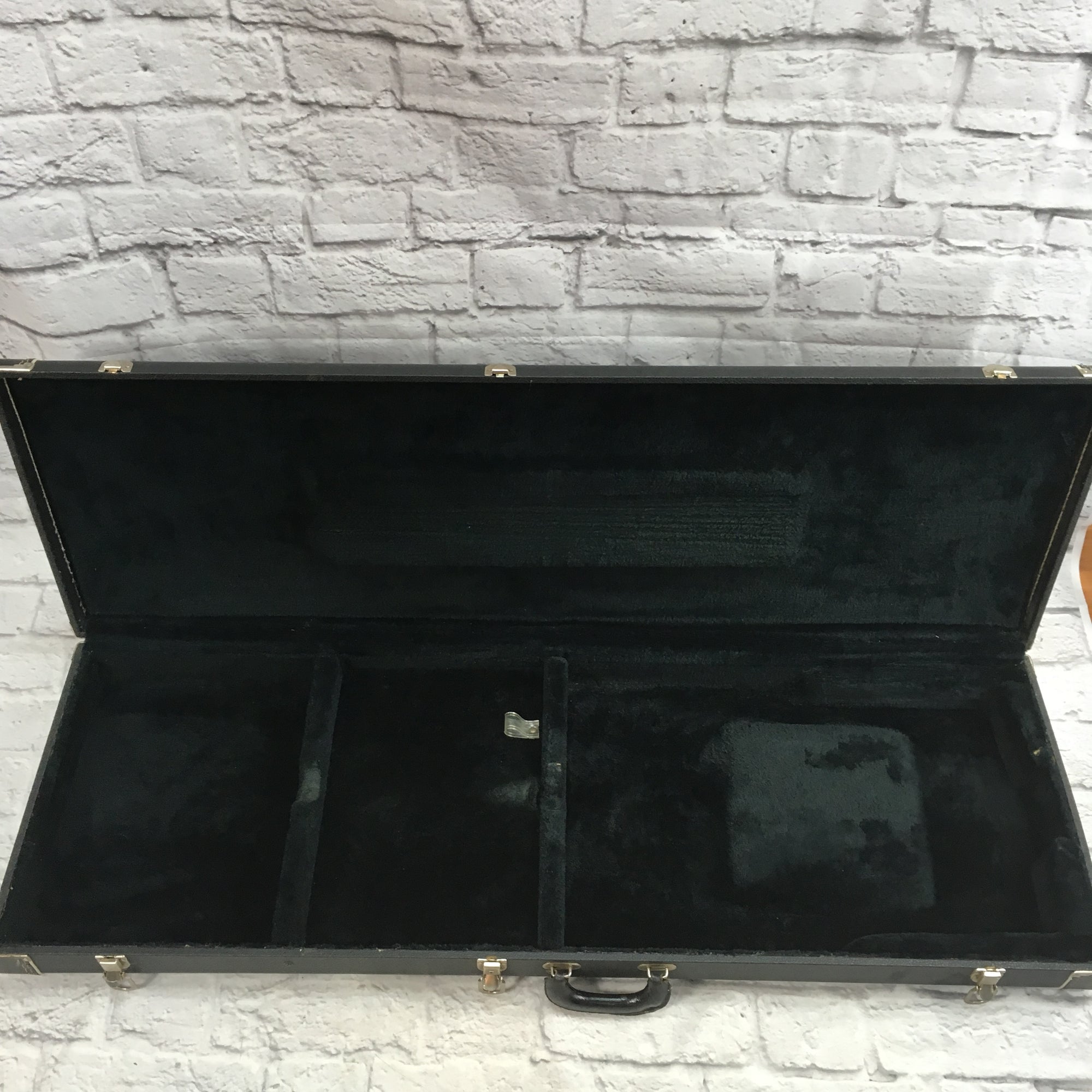 Unknown Hard Shell Bass Case