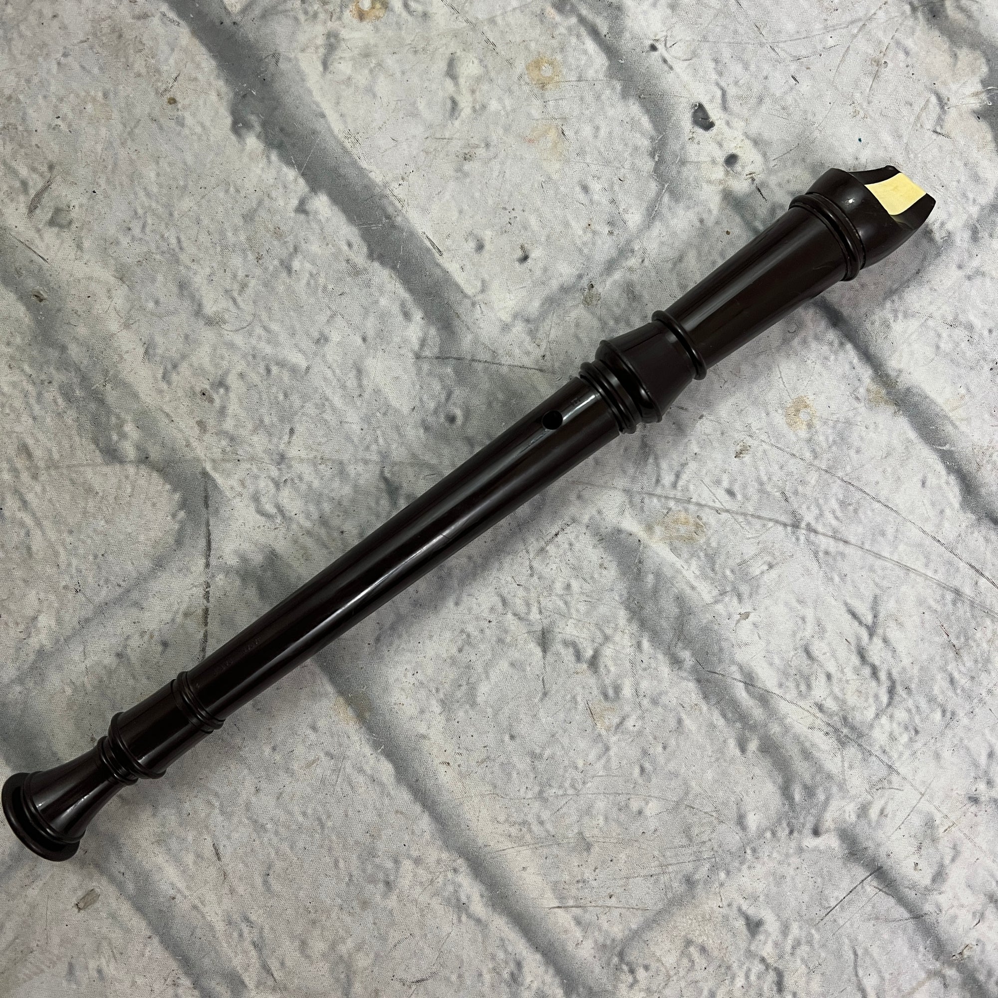 Suzuki Recorder