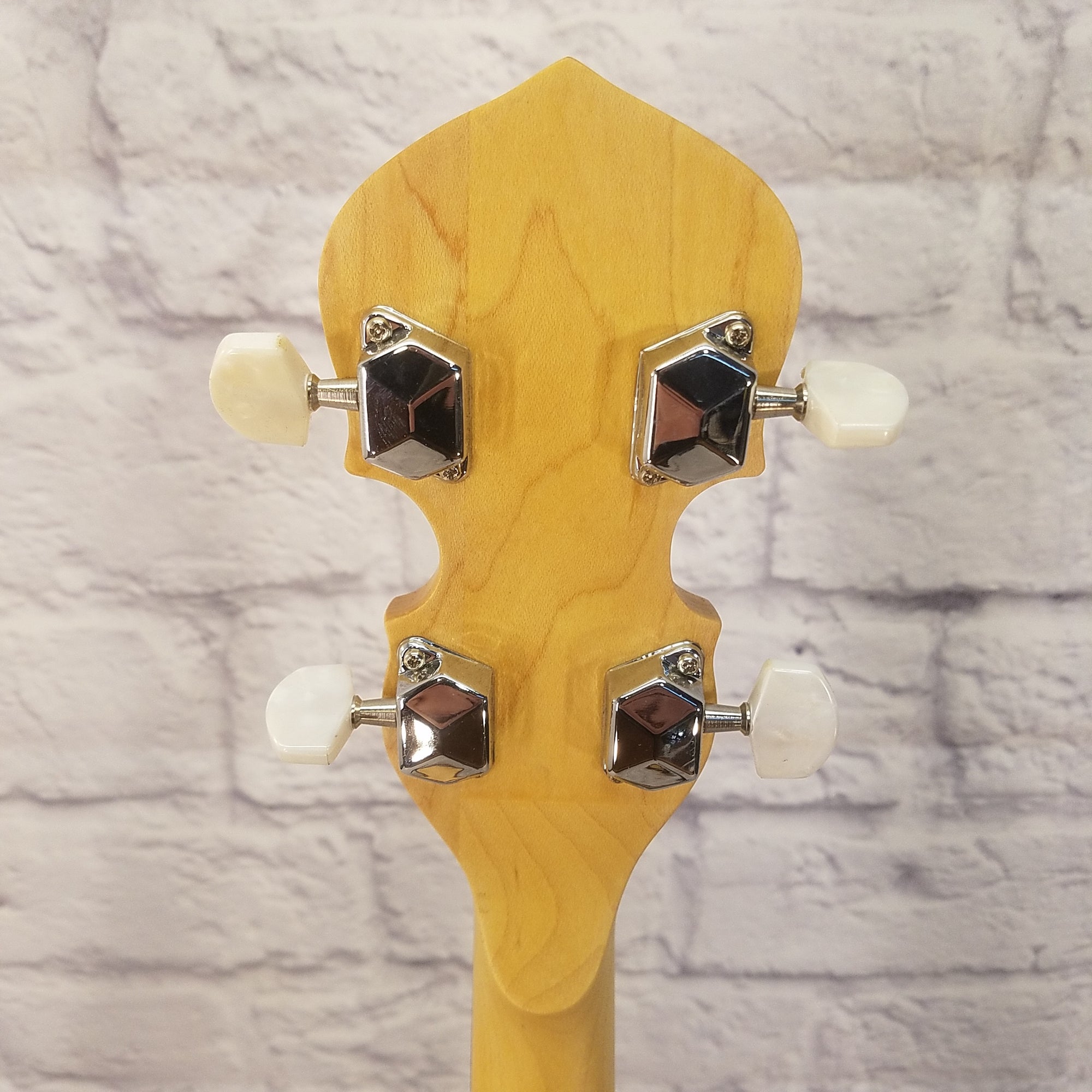 Gold Tone CC-100R Cripple Creek 5-String Resonator Banjo