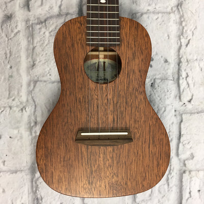 Kala 1MHG-C Honduran Mahogany Doghair Concert Ukulele