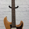 Fender Electric Guitar Gig Bag