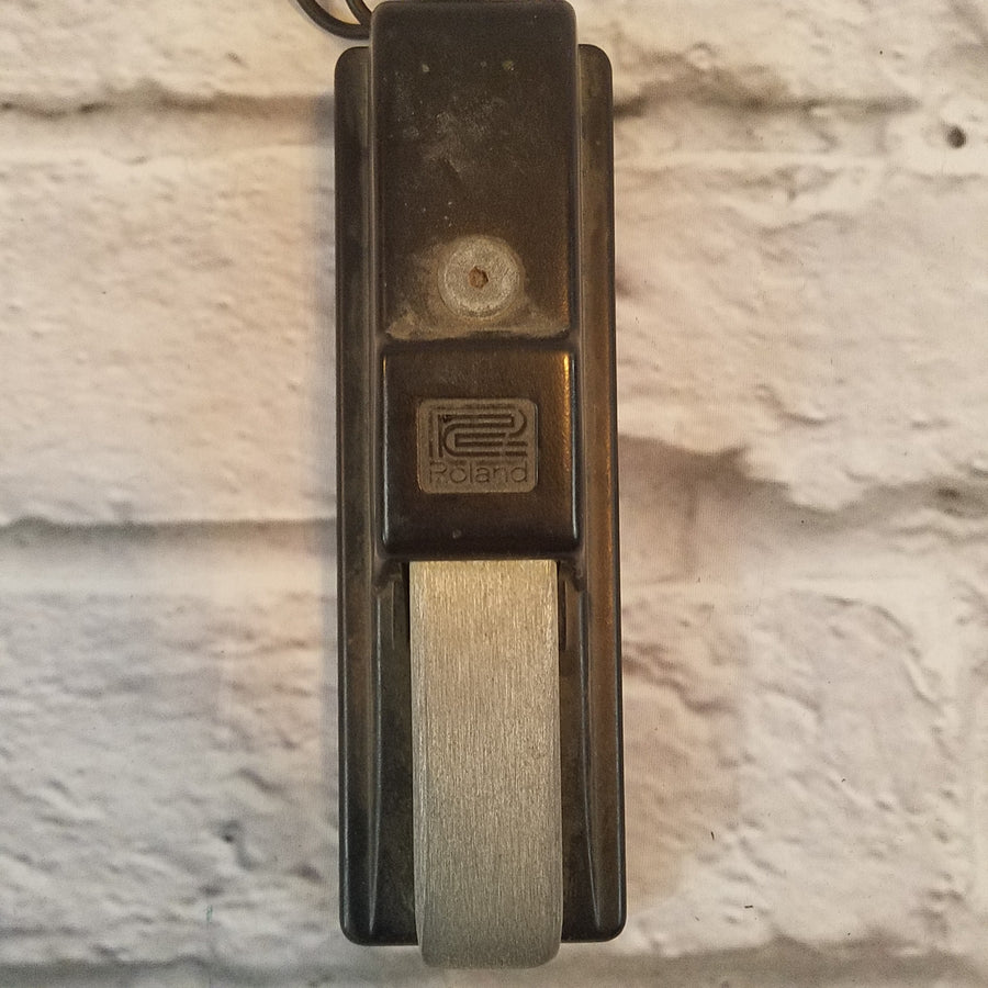 Roland DP-10 Sustain Pedal
