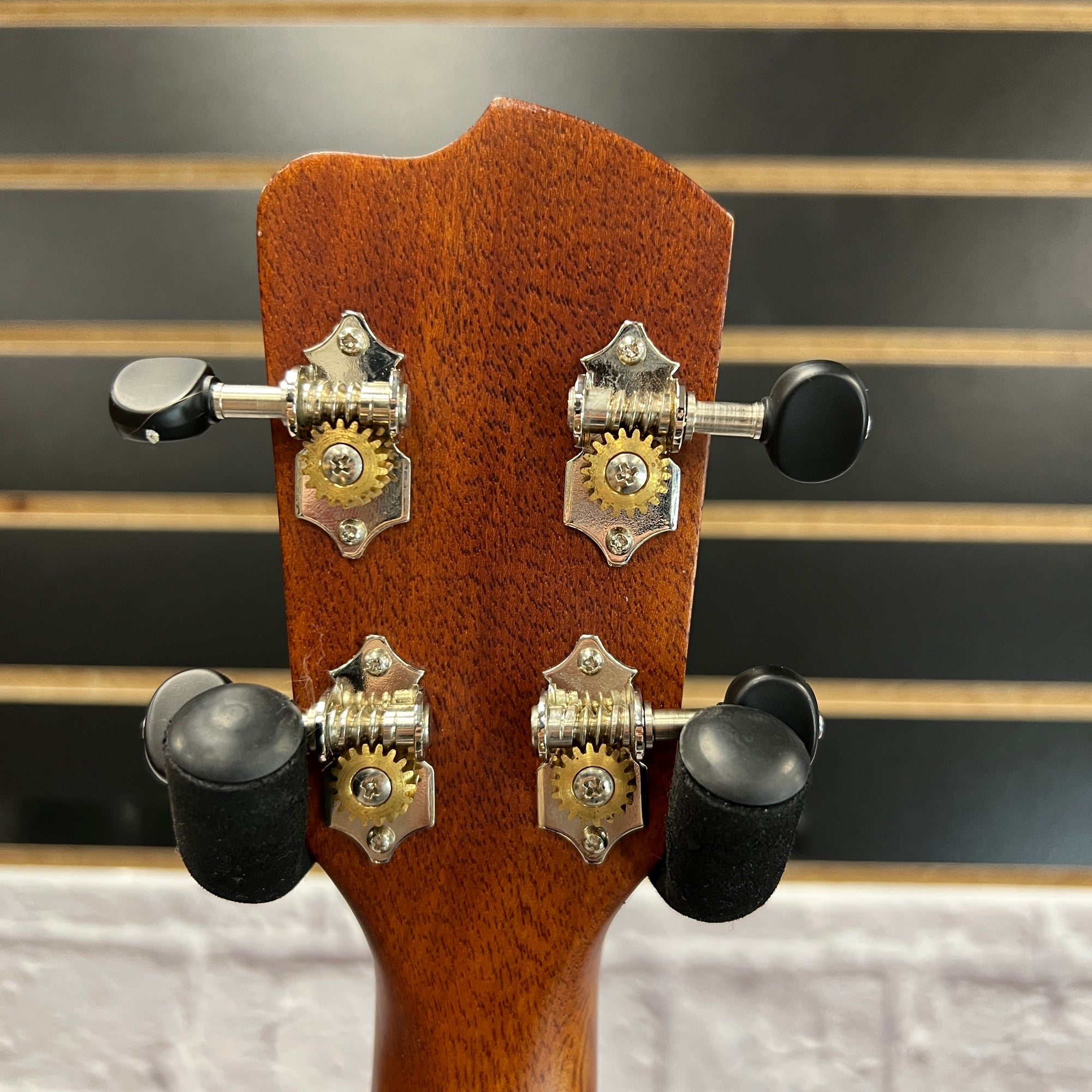 Breedlove Pursuit Ex CU CE BO Ukuleles