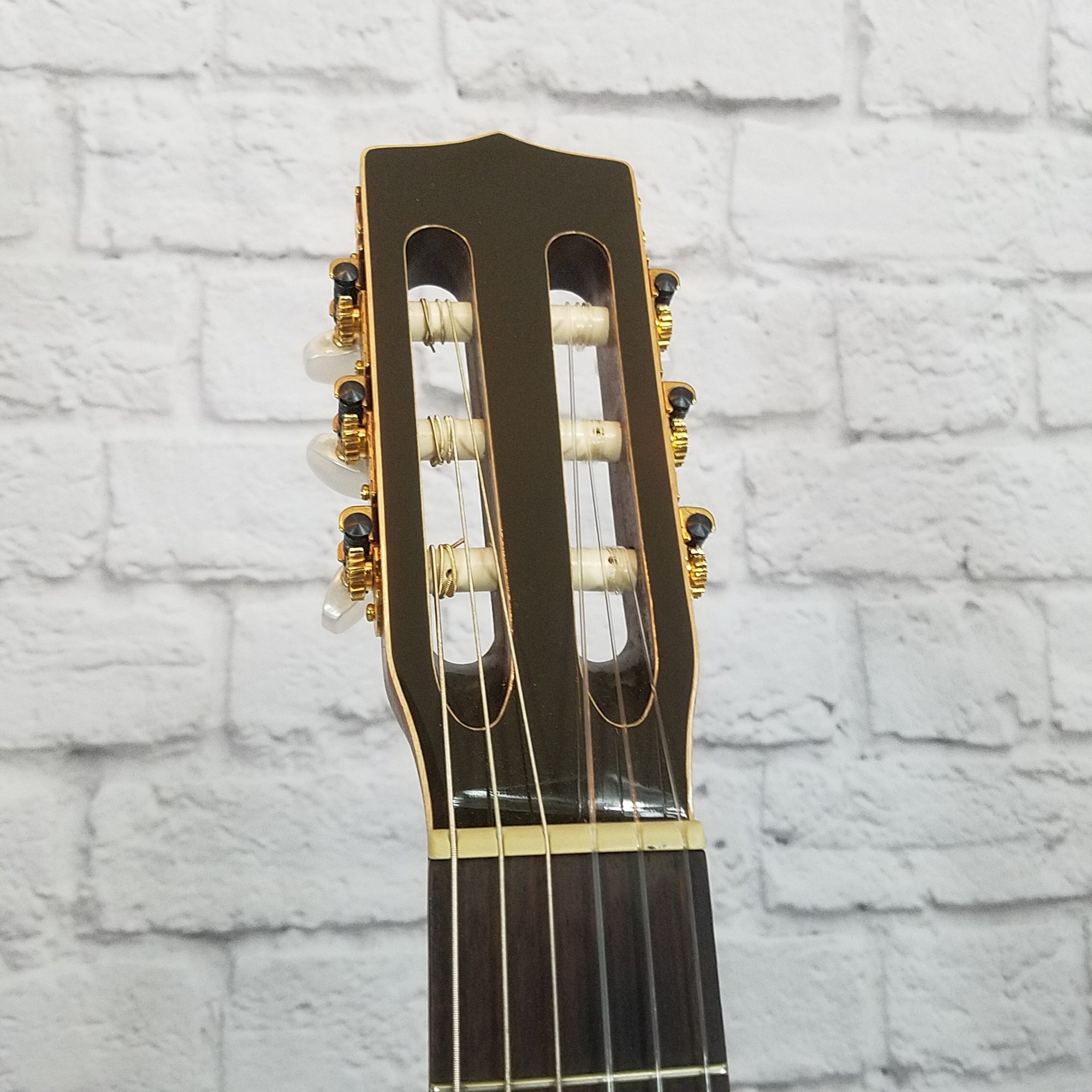 La Patrie By Godin Concert Classical Guitar