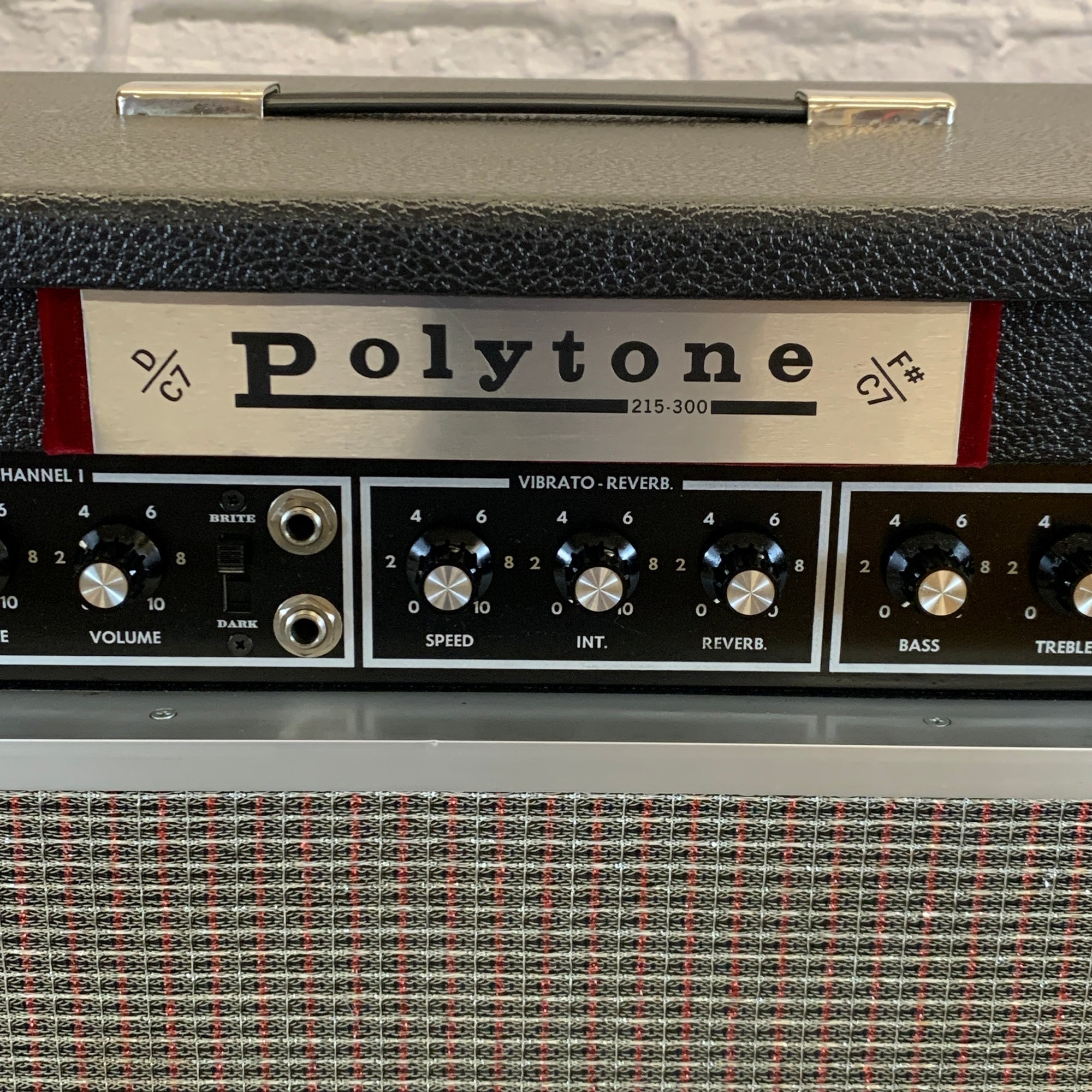 Polytone 215-300 Two Channel Guitar Amp