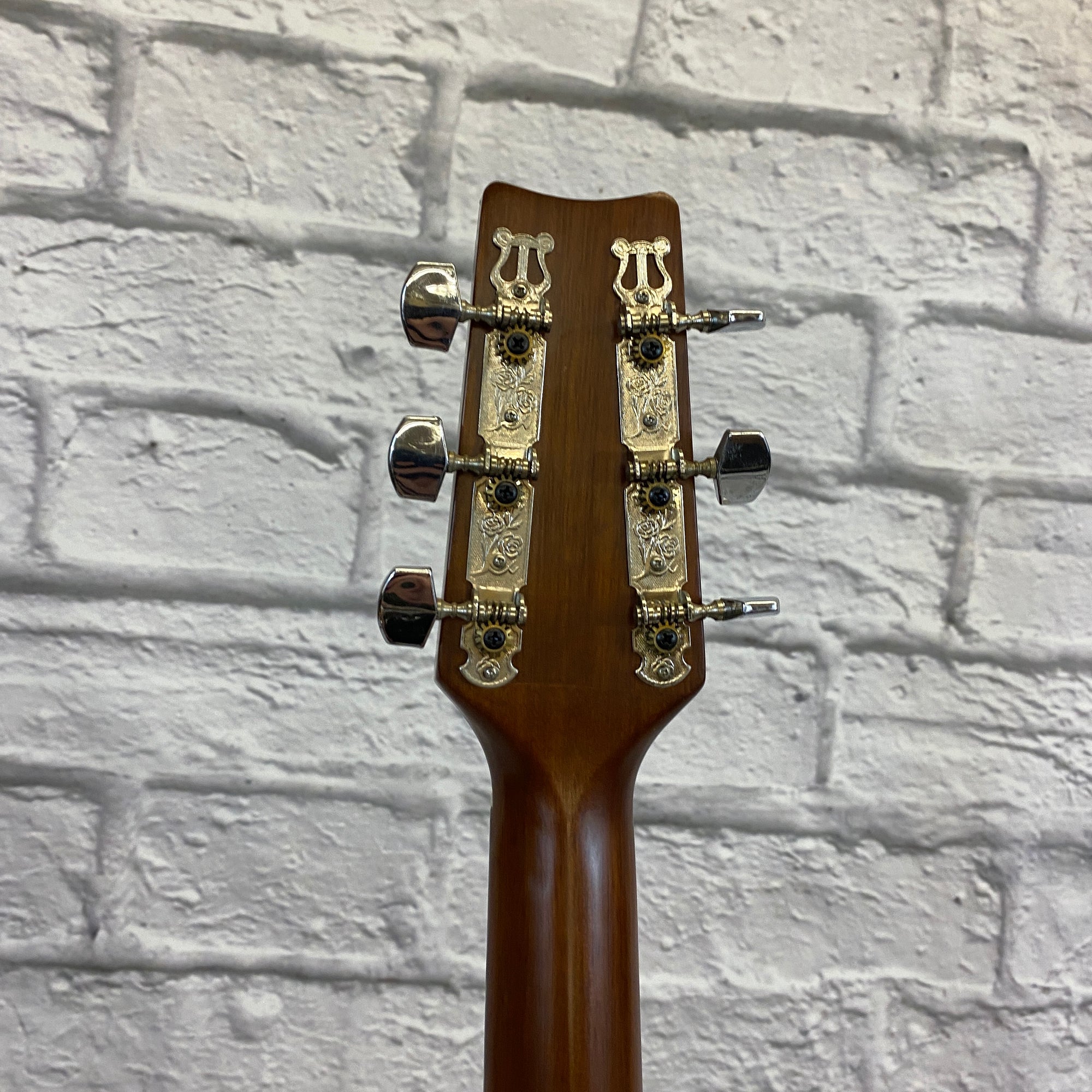Vintage JDS K201E Acoustic/Electric Guitar