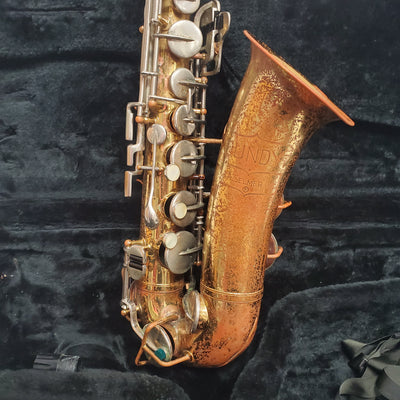 Selmer Bundy Alto Saxophone in Alpine Case