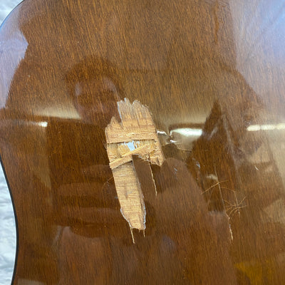 Vintage JDS K201E Acoustic/Electric Guitar