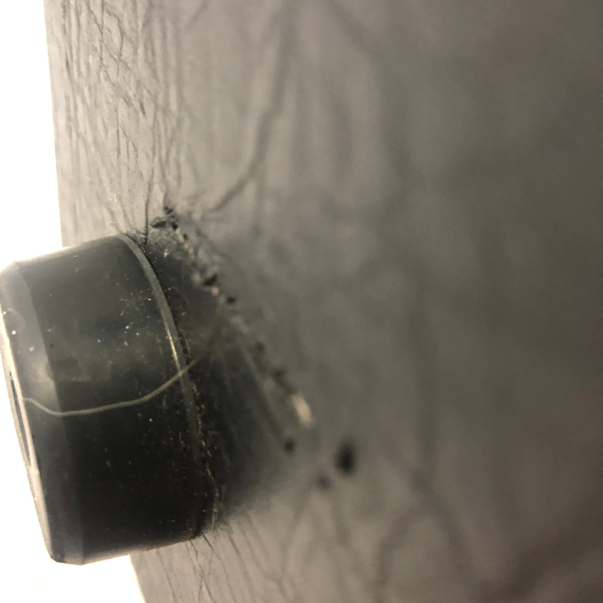 TC Electronic K212 2x12 Bass Speaker Cabinet