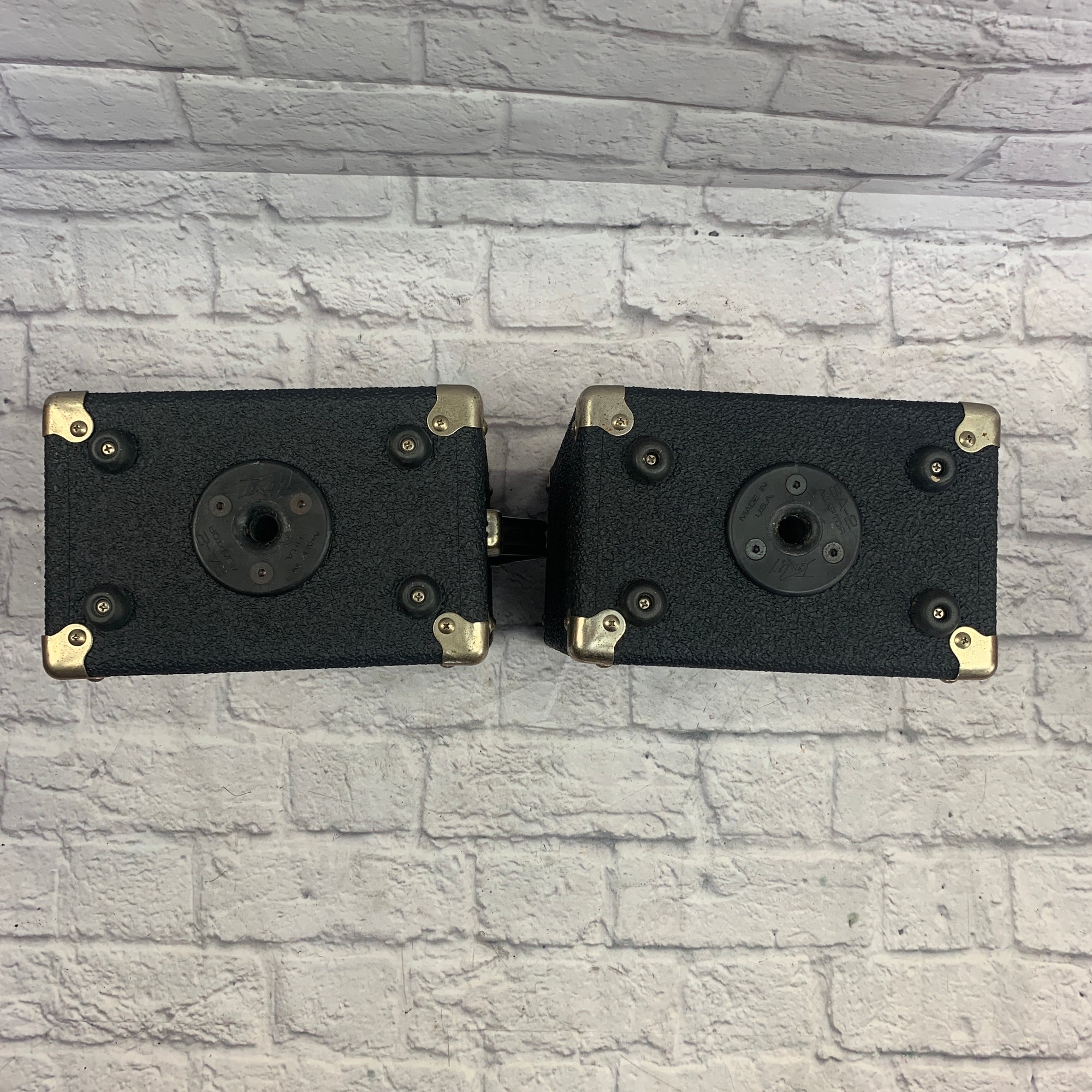 Peavey Flex Monitor Passive Pair