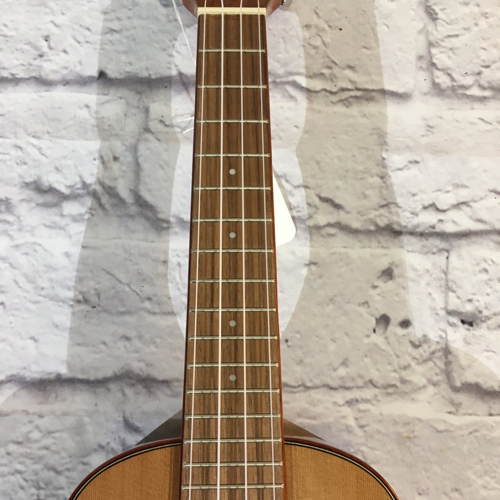 Kala KA-ACP-CTG Ukulele