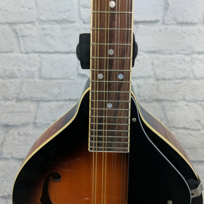 Johnson MA-120 Mandolin