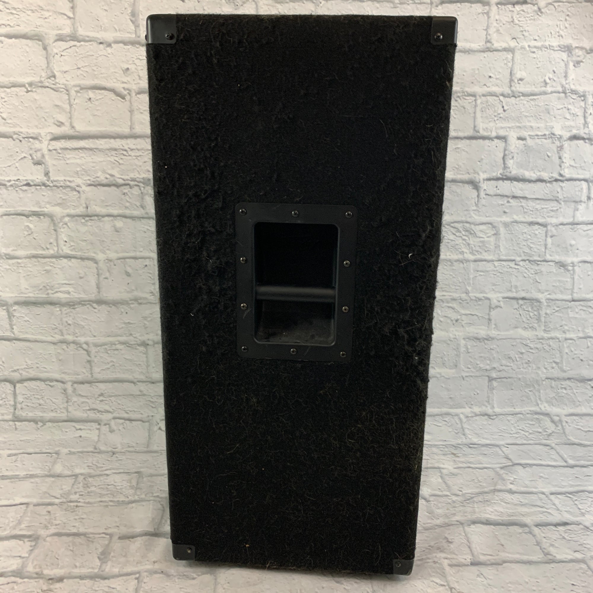 Peavey PV115 Passive Speaker - Evolution Music