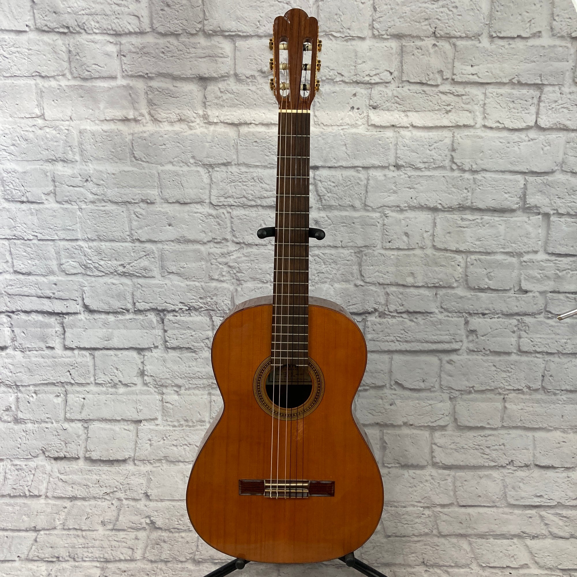 Pavan TP-10 Classical Acoustic Guitar
