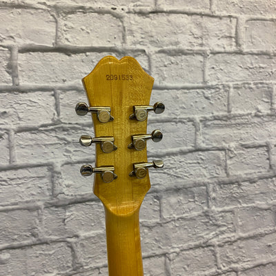 Vintage 1970s Epiphone Riviera AN w/ Case