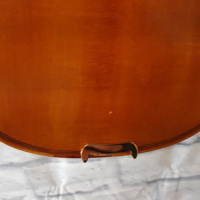 Ametto 1/2 size Violin Outfit - C127925