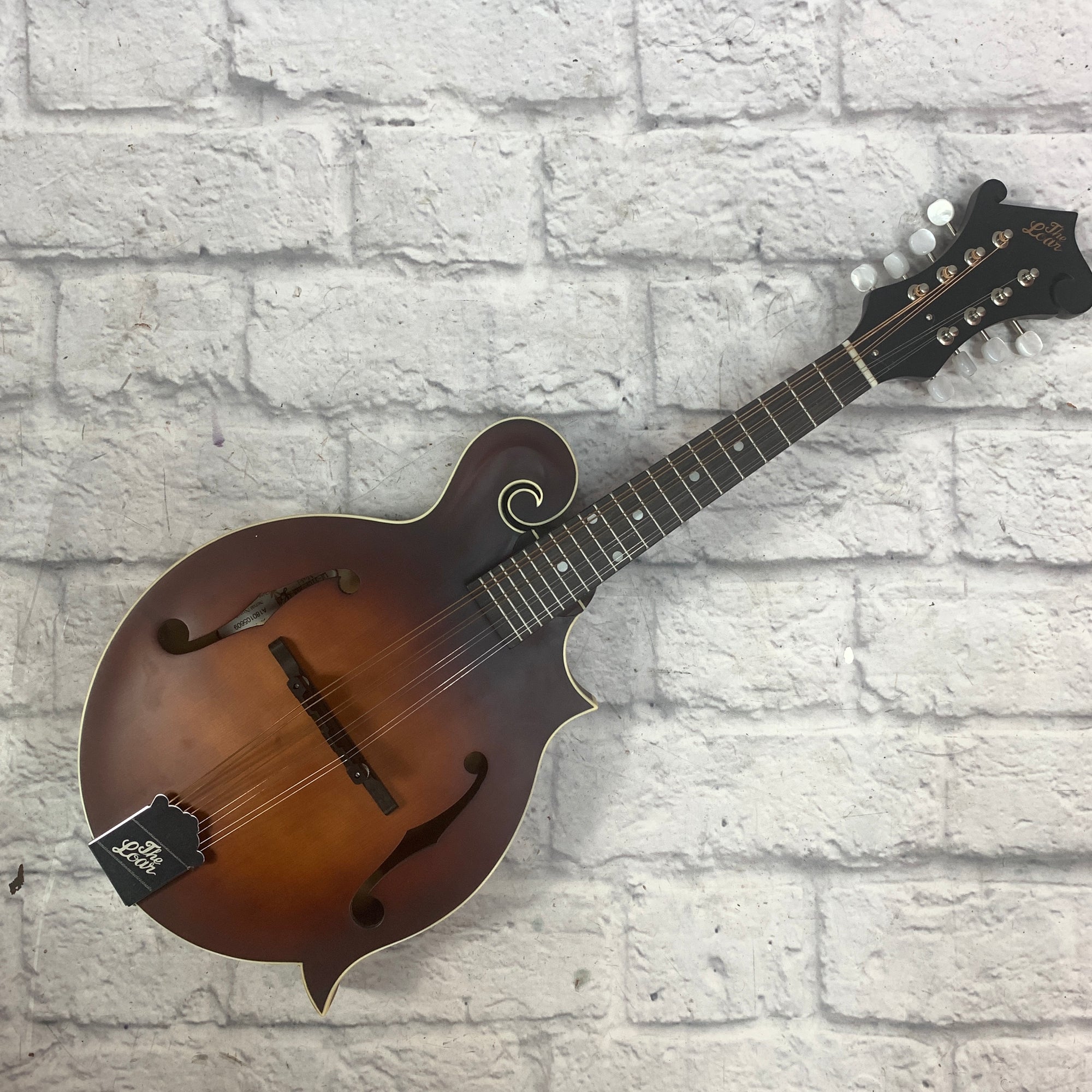 Loar Mandolin LM-31cf-BRB