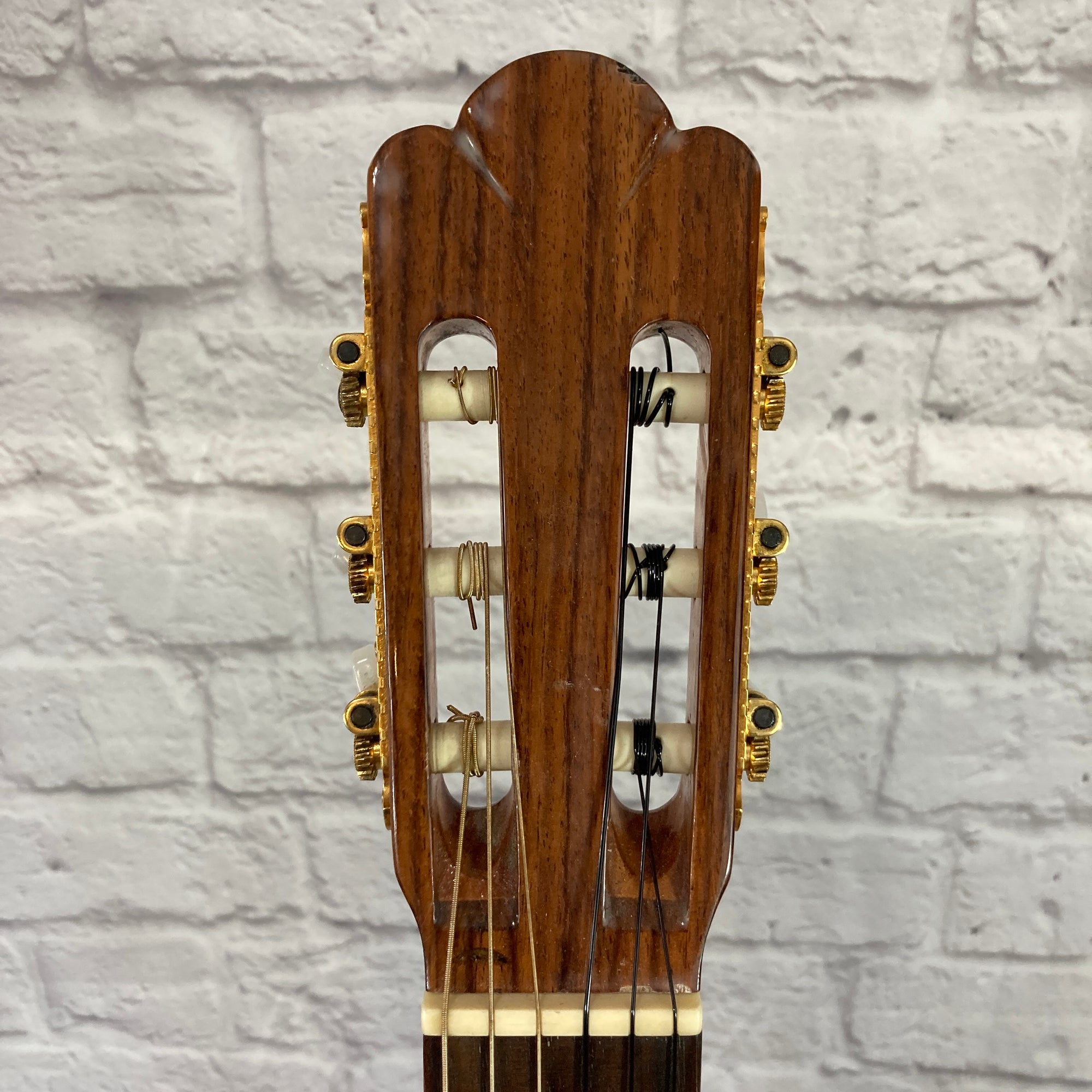 Pavan TP-10 Classical Acoustic Guitar