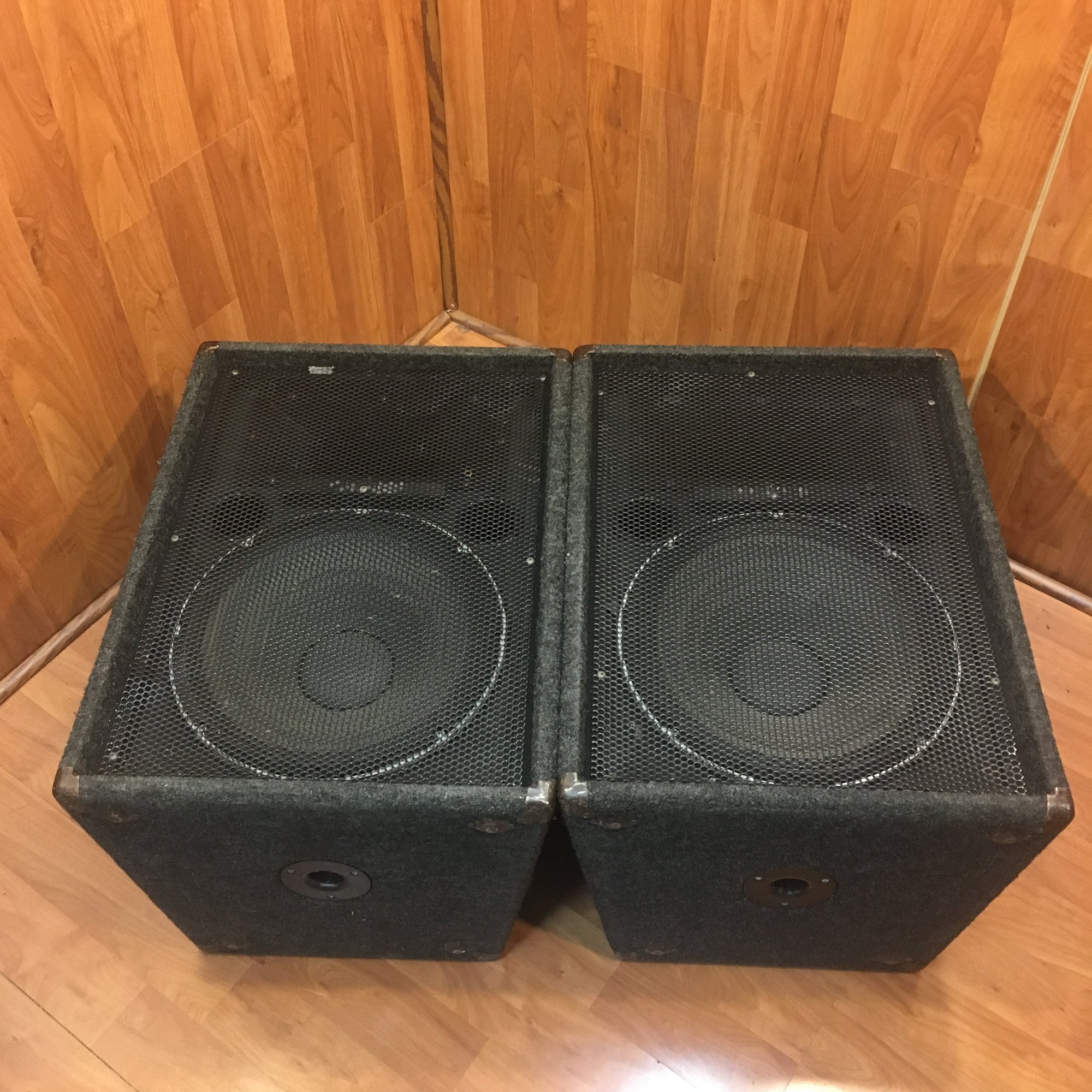 Sonic Custom w/ Black Widow 15" Speaker Pair