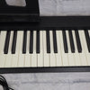 Roland FP-10 88-Key Hammer Action Digital Piano Keyboard