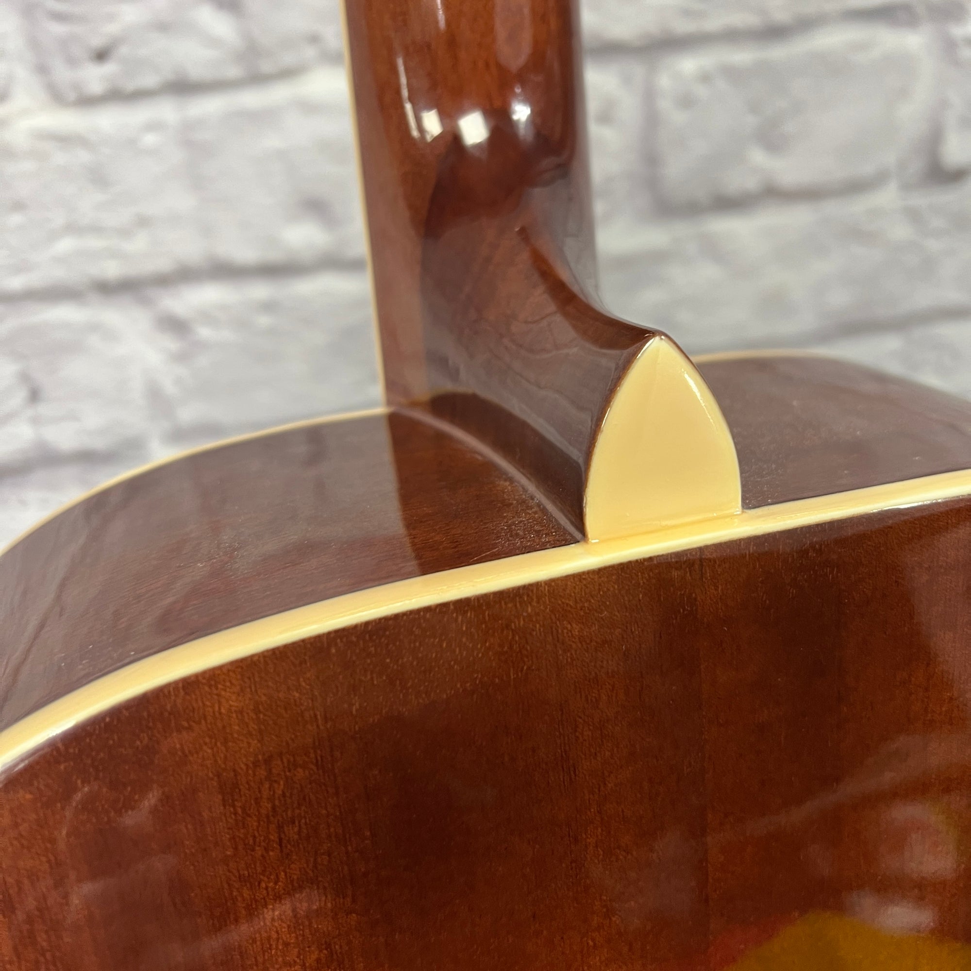 Mitchell D120 Acoustic Guitar