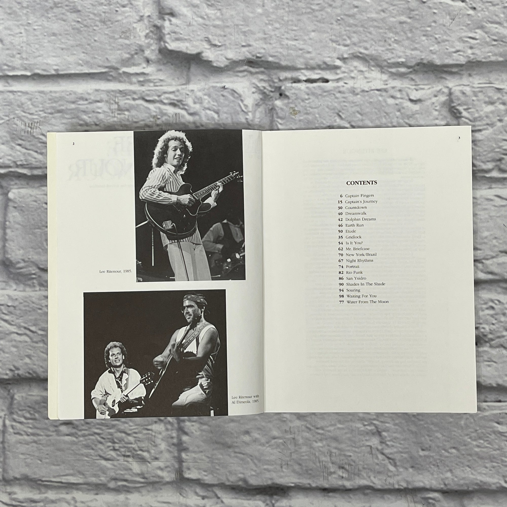 Hal Leonard Lee Ritenour Guitar Transcription Book
