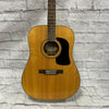 Washburn D-10 SZ Acoustic Guitar - Natural