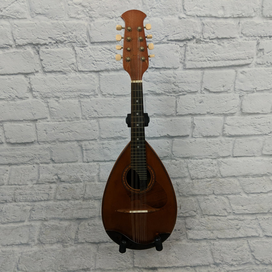 1975 Suzuki Mandolin with Silver Hardshell Case