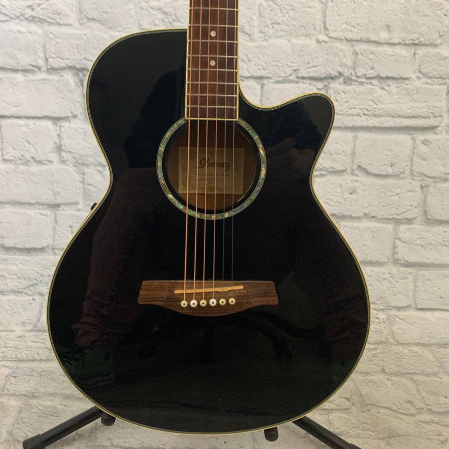 Ibanez AEG10E Concert Acoustic