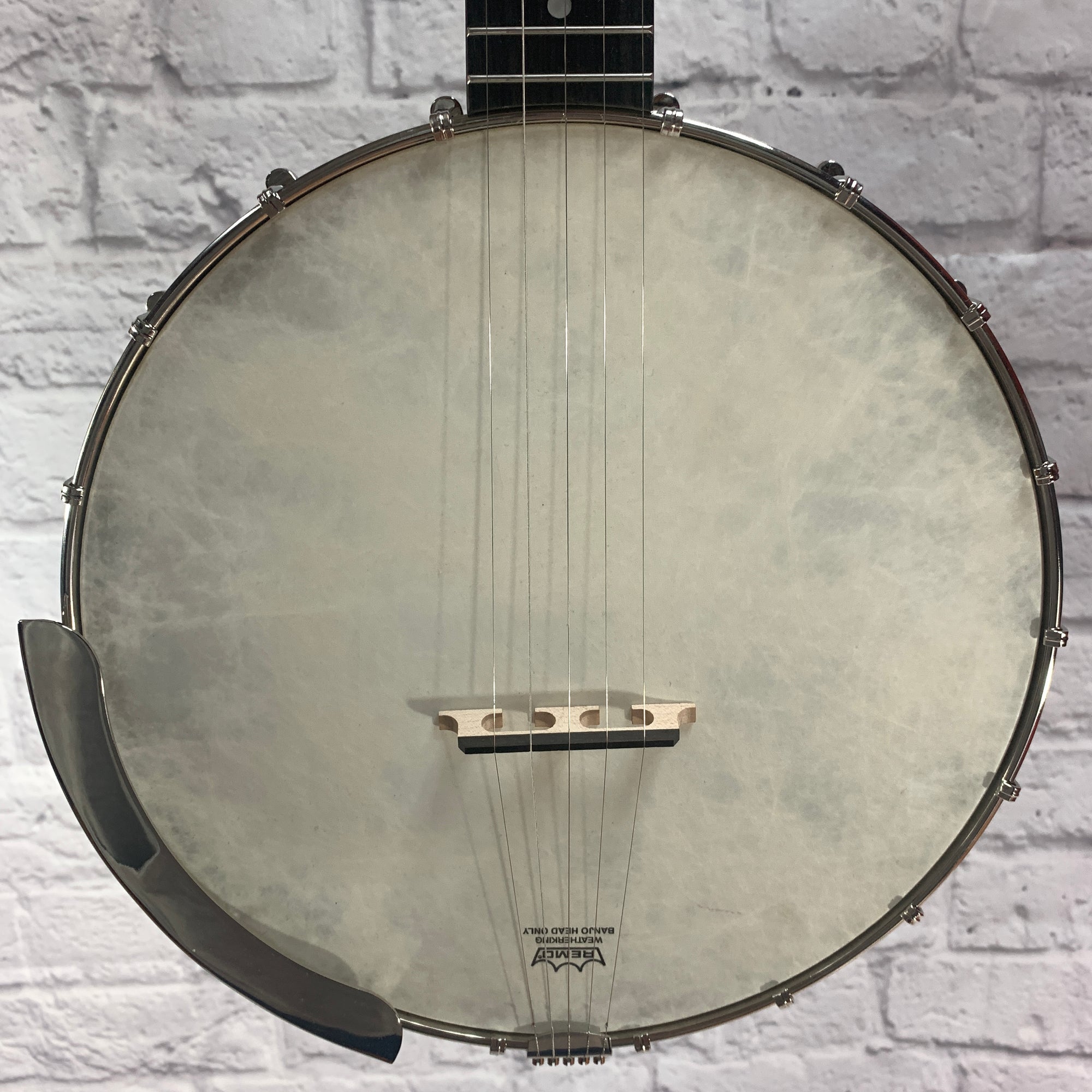 Recording King RKOH-06 Banjo