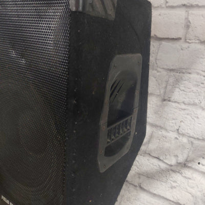 Field of Dreams 12 inch 2 Way Wedge Monitor Passive Speaker
