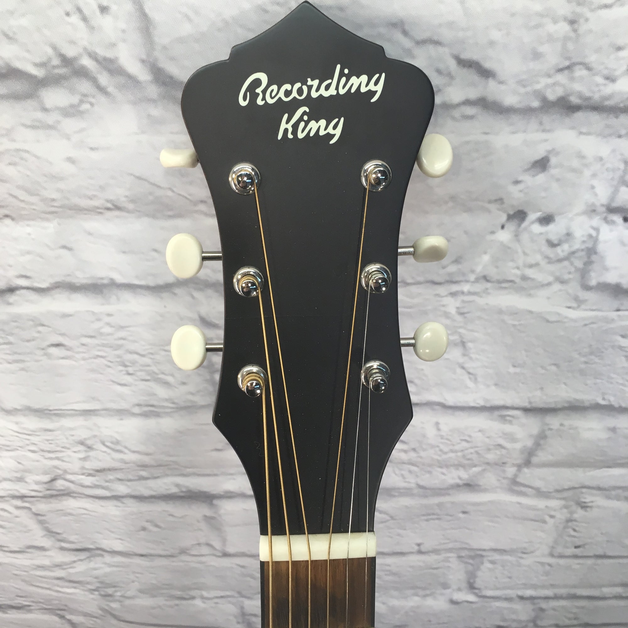Recording King RDS 7 TS Acoustic Guitar