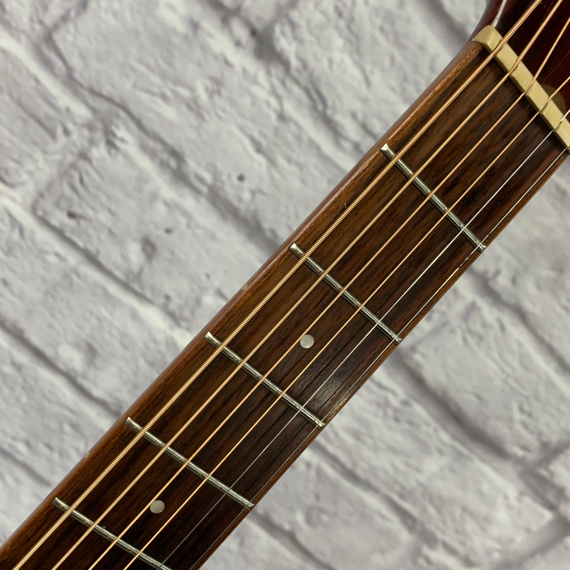Brownsville BPG-20 Parlor Acoustic Guitar