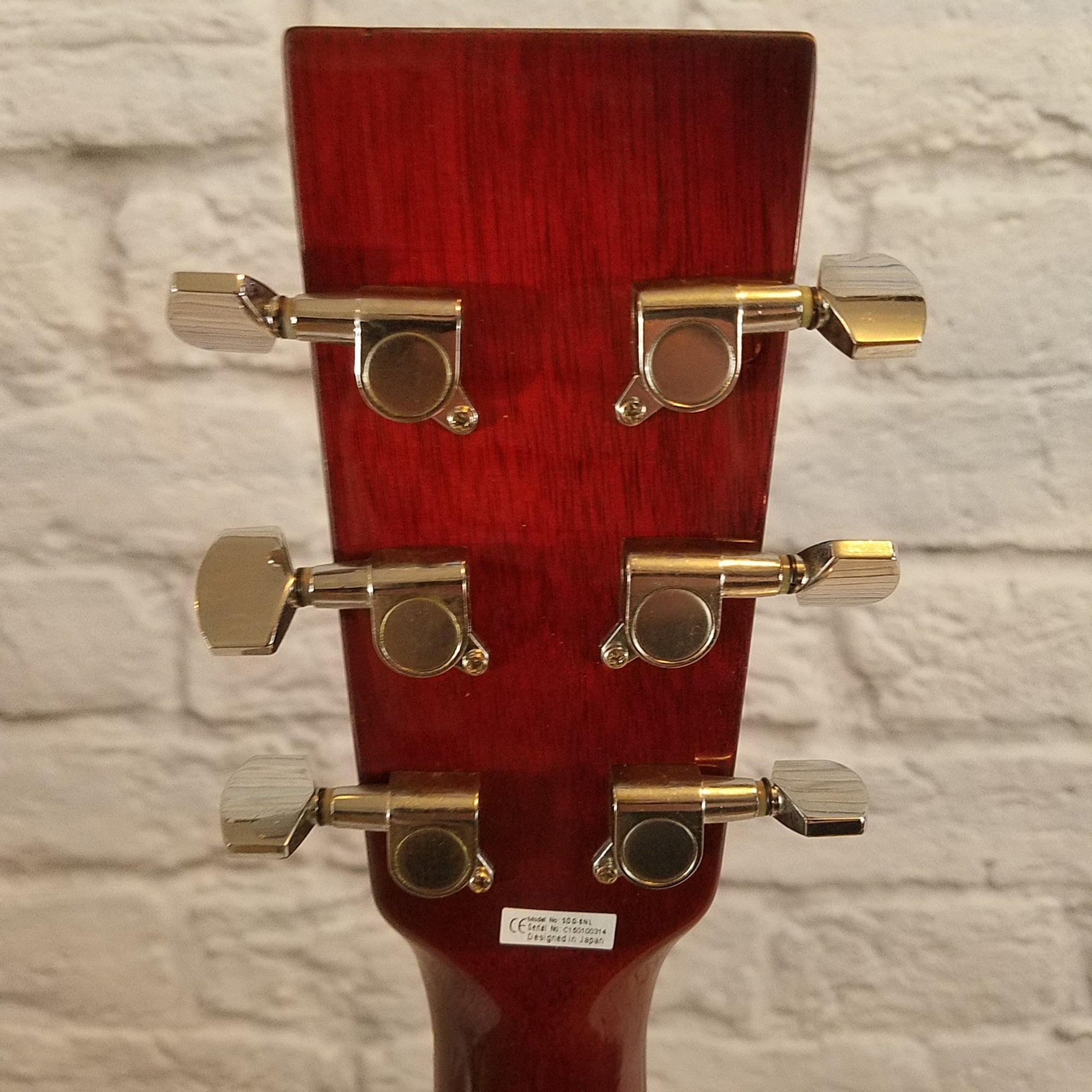 Suzuki SDG-6NL Acoustic Guitar
