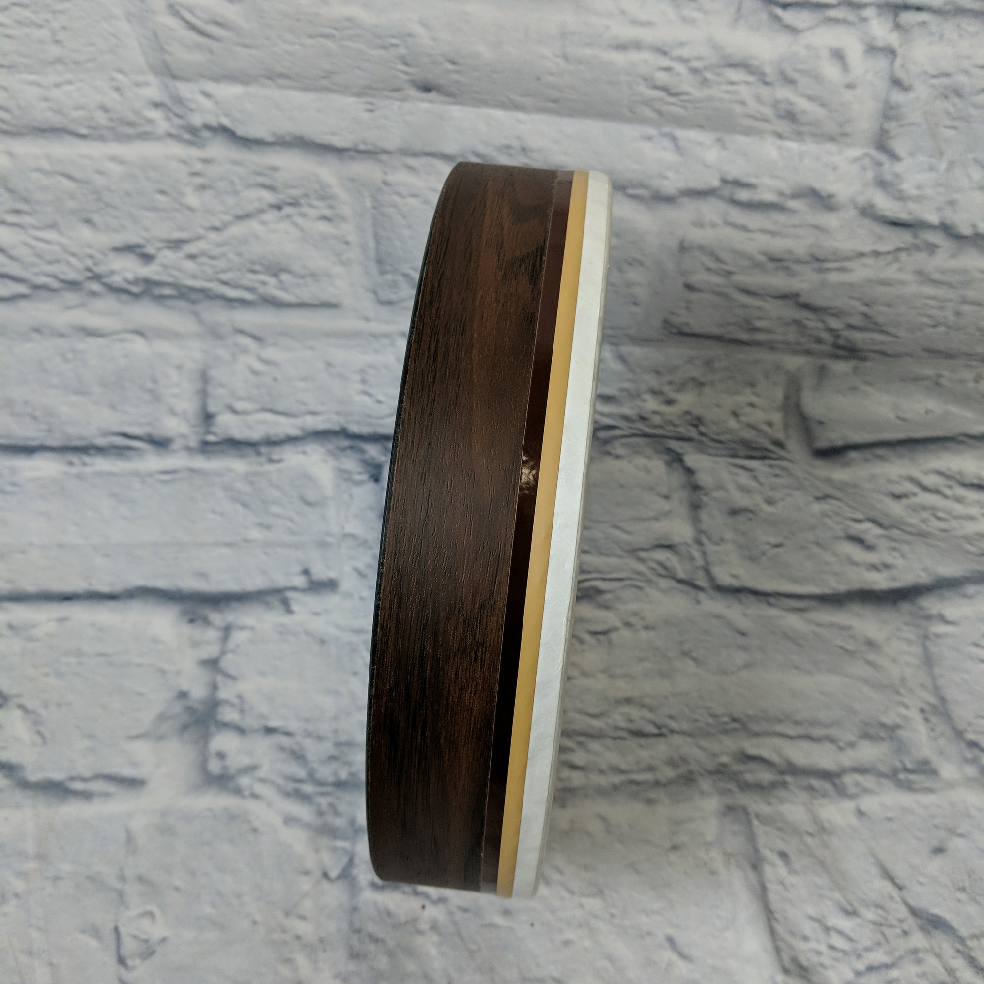 Remo 10 in hand drum