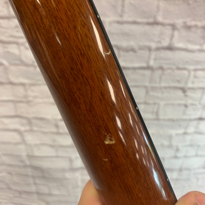 Montana M17-4 Acoustic Guitar - Natural