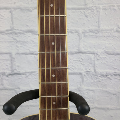 Ibanez PN12E- VMS Parlor Acoustic Electric Guitar