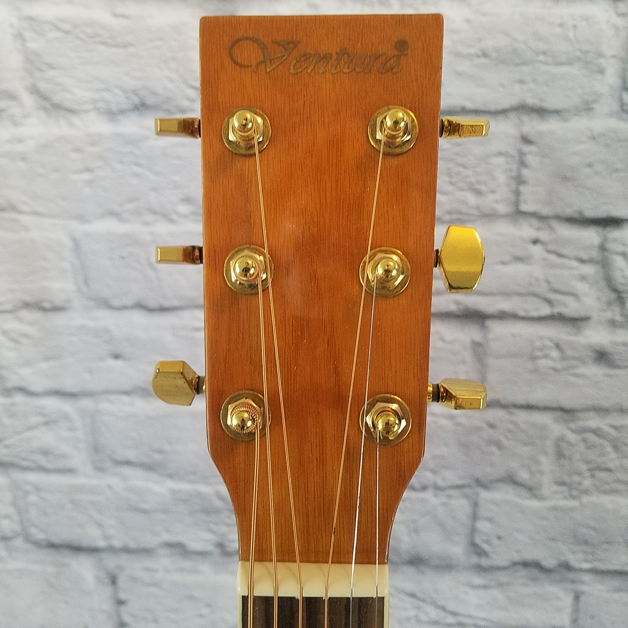 Ventura VWD5 NAT Acoustic Guitar