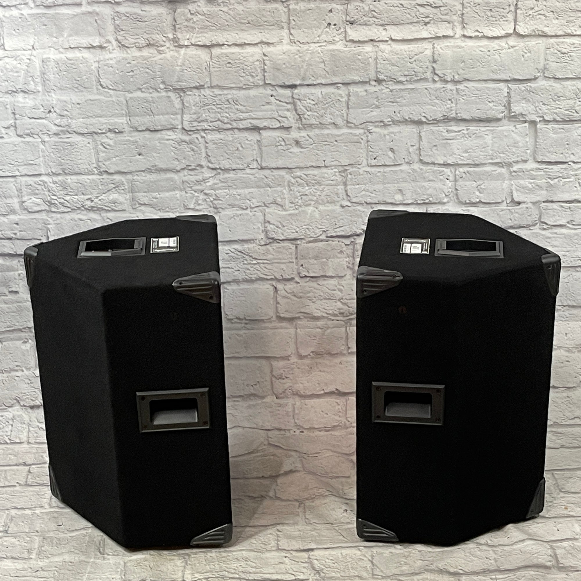 Community DND12 Passive Speaker Pair