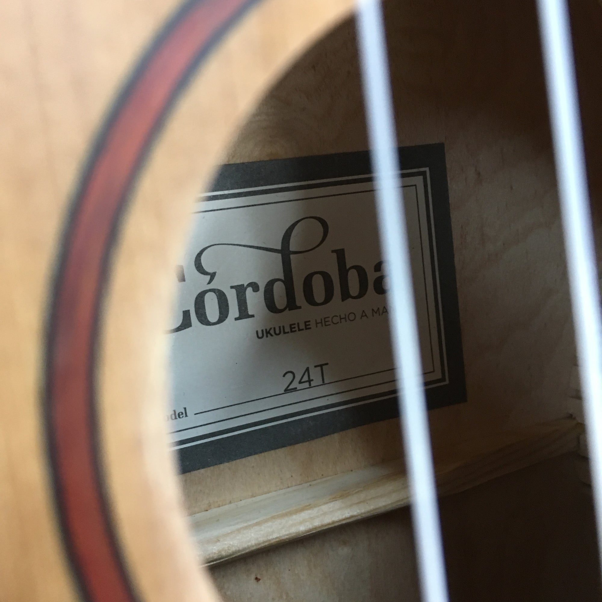 Cordoba 24T Tenor Ukulele