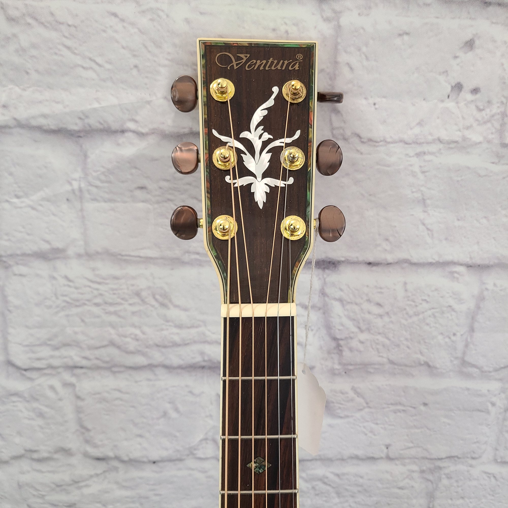 Ventura V4NAT Acoustic Guitar