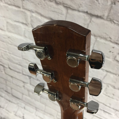 Alvarez RD-9VP Acoustic Guitar with Soft Case