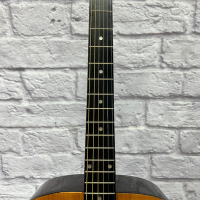 Burswood Acoustic Guitar Acoustic Guitar