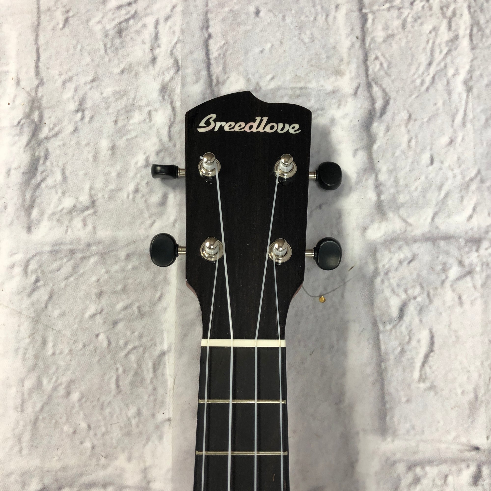 Breedlove Ex Cu Ce Bo Acoustic Electric Concert Ukulele