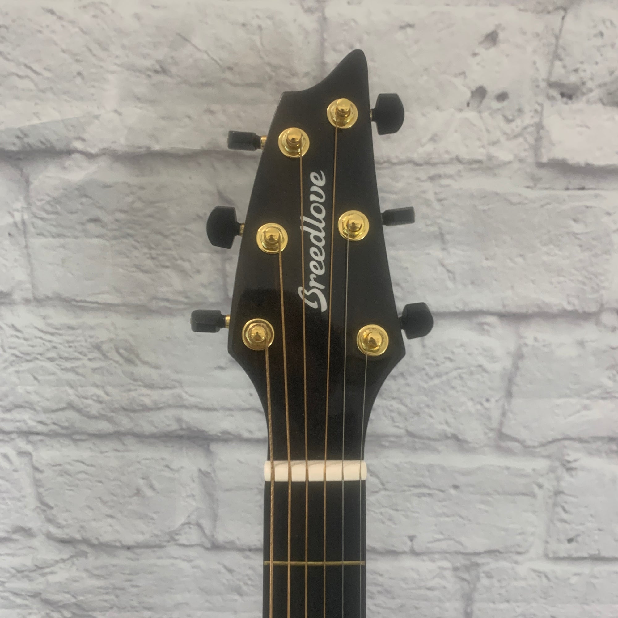 Jasmine S35 Acoustic Guitar