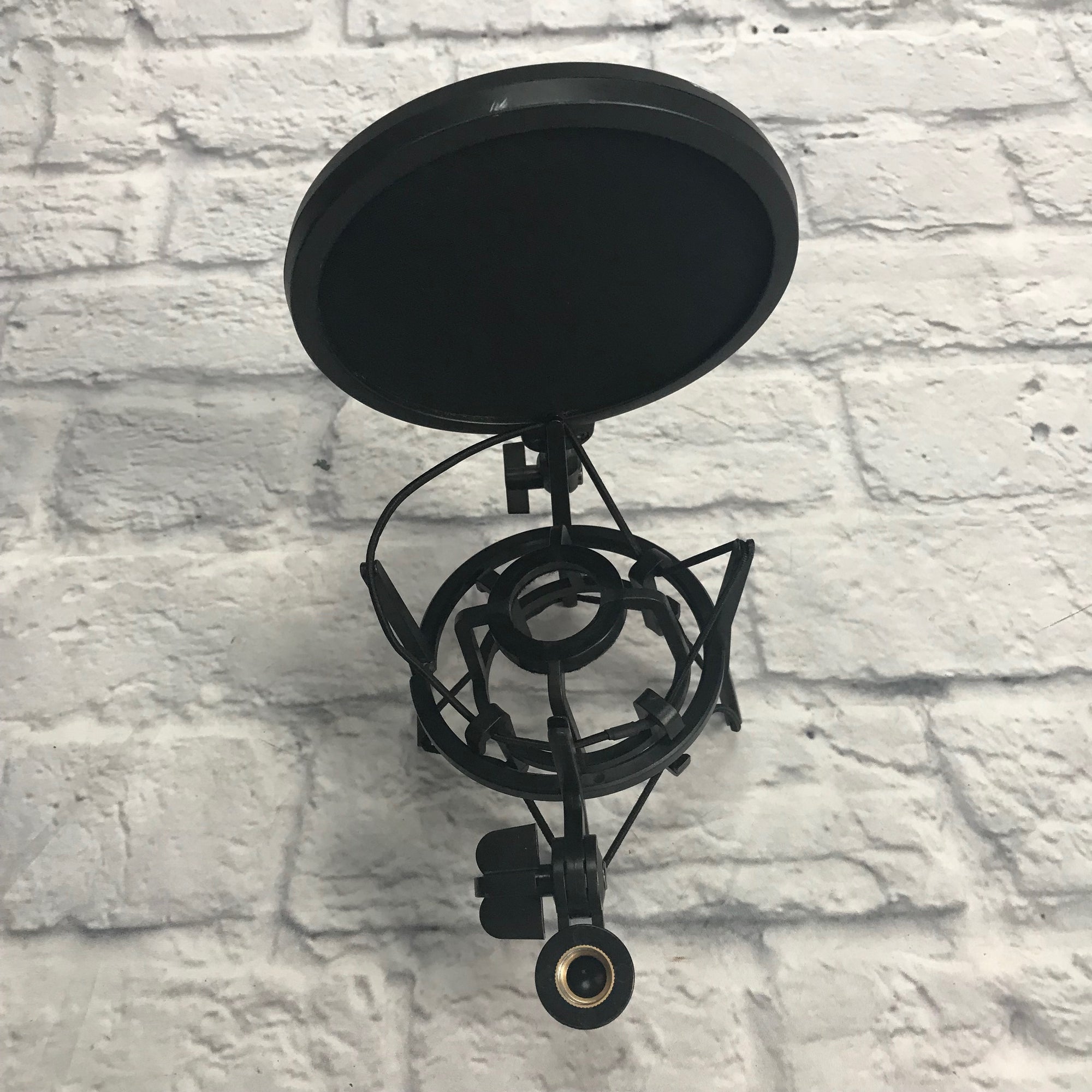 AKG P120 Condenser Microphone with Case & Mount