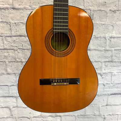 Global Classical Acoustic Guitar