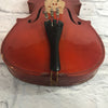 Skylark 1/4 Sized Violin with Case